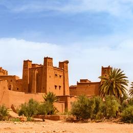 Oasis dans le désert marocain