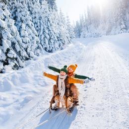 enfants sur une luge dans la neige