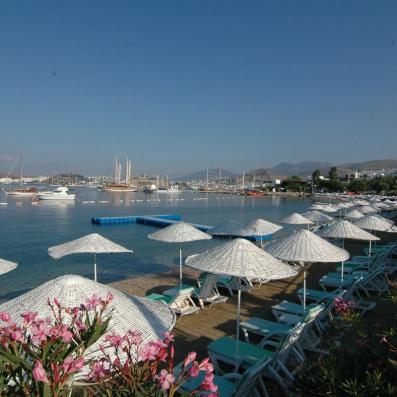 parasols sur la plage 