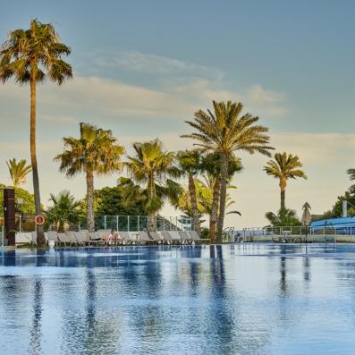 palmiers et piscine