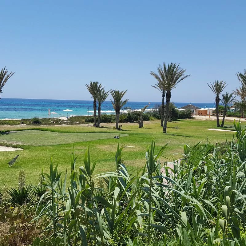 Image 6 du séjour Calimera Delfino Beach Resort & Spa 4* à Hammamet, Tunisie