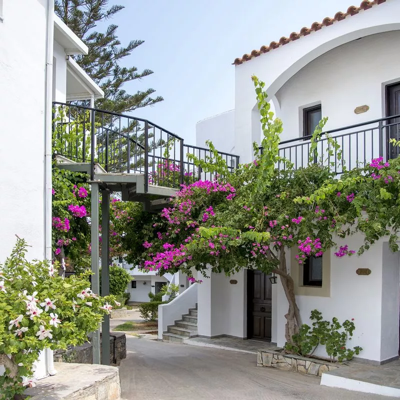 Image 10 du séjour Horizon Beach 4* à Malia, Crète