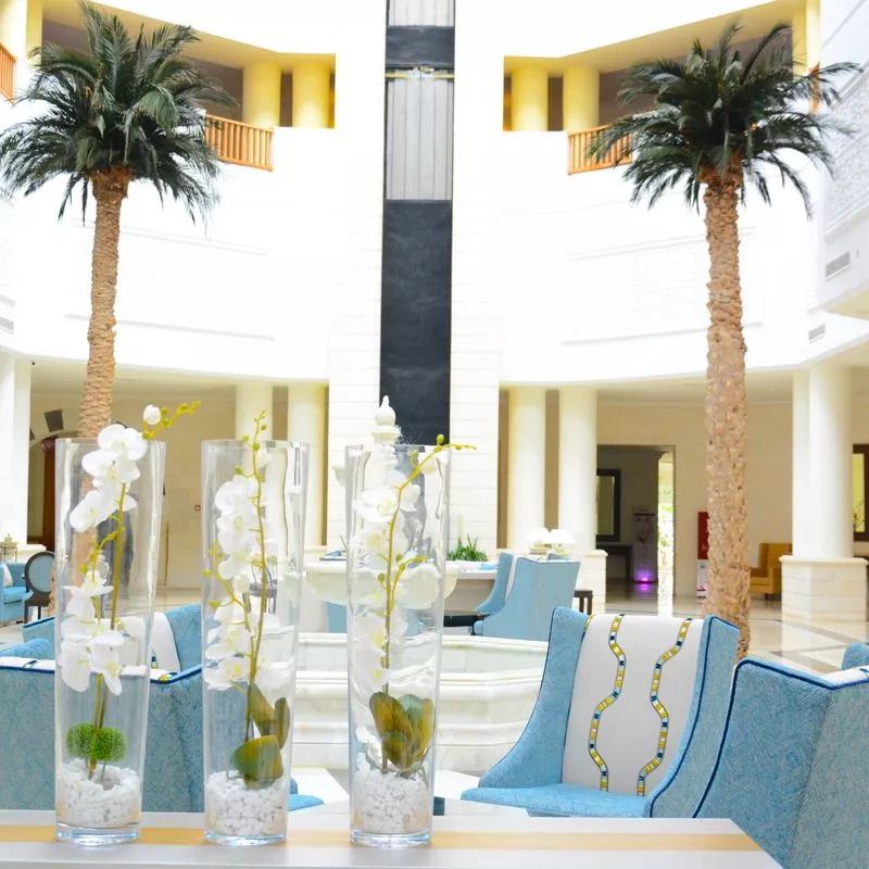 Image 4 du séjour Vincci Saphir Palace & Spa 5* à Hammamet, Tunisie