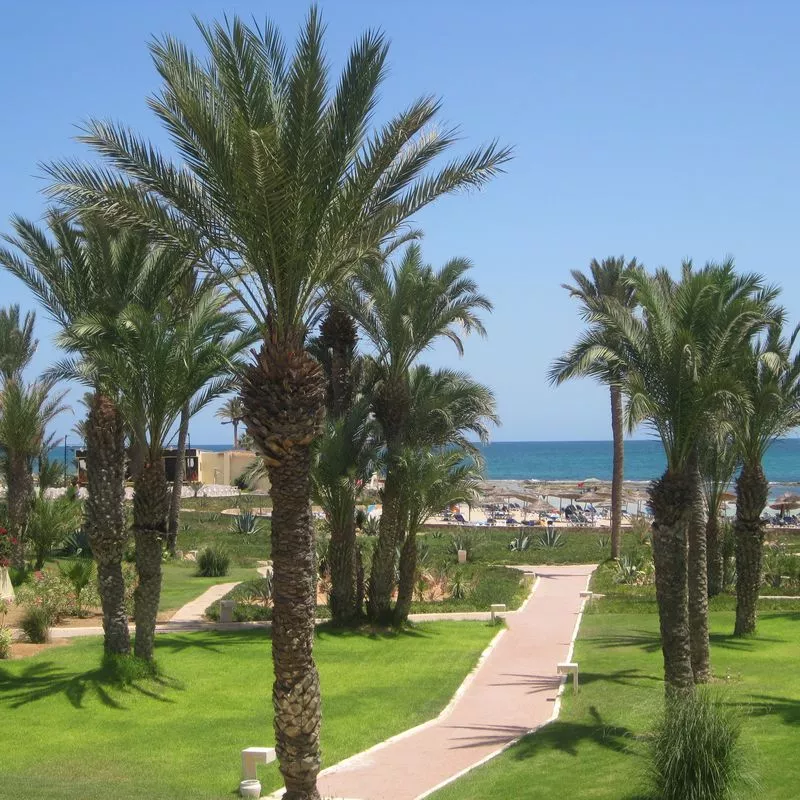 Image 1 du séjour Zephir & Spa 4* Zarzis à Djerba, Tunisie