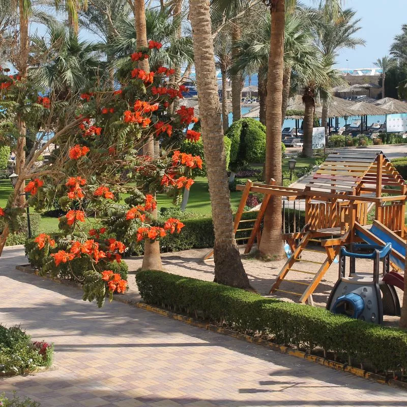 Image 24 du séjour Zya Regina Resort 3* à , Hurghada
