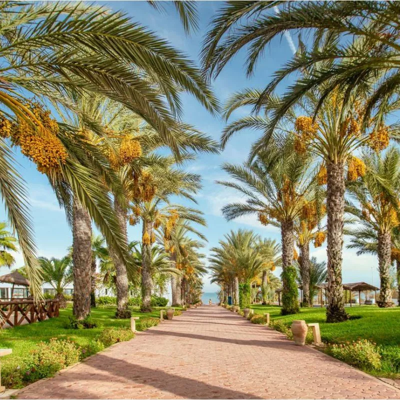 Image 1 du séjour Palm Azur 4* Long séjour à Djerba, Tunisie
