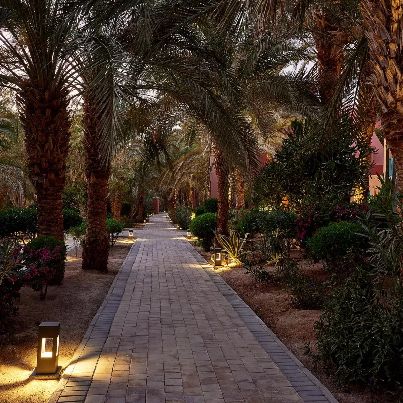 Image 5 du séjour Sheraton Miramar Resort El Gouna 5* à , Hurghada