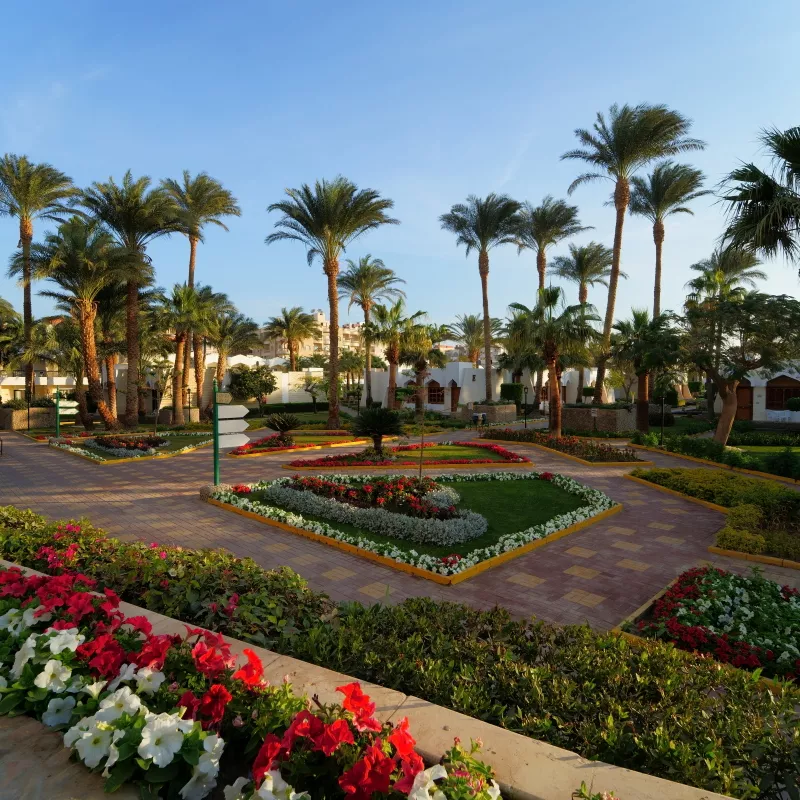 Image 8 du séjour Zya Regina Resort 3* à , Hurghada