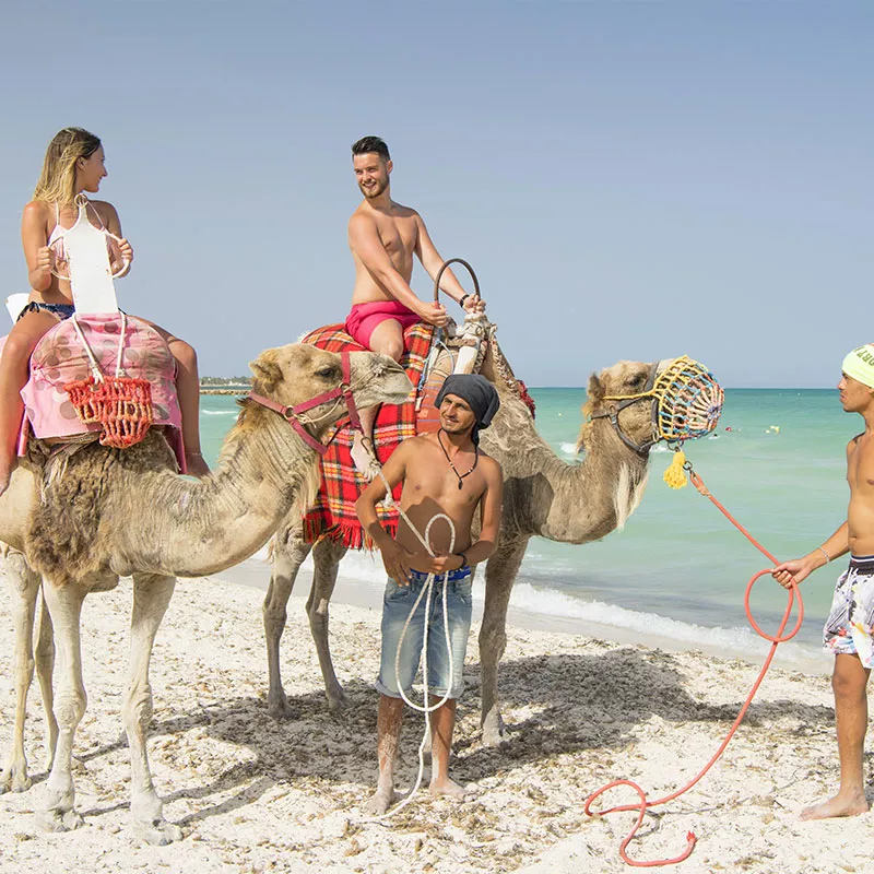 Image 25 du séjour Mondi Club Seabel Aladin 3* Sup à Djerba, Tunisie