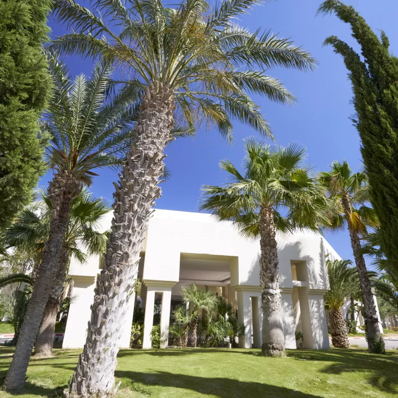 Mondi Club Nozha Beach Resort & Spa 4* SUP