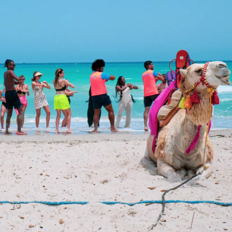 Image 40 du séjour César Thalasso 4* à Djerba, Tunisie