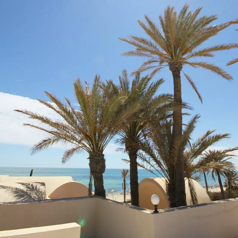 Image 10 du séjour Mondi Club Zita Beach Resort 4* Zarzis à Djerba, Tunisie