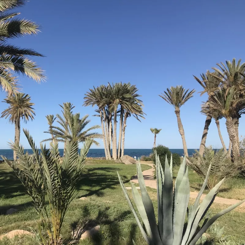 Image 2 du séjour Mondi Club Zita Beach Resort 4* Zarzis à Djerba, Tunisie