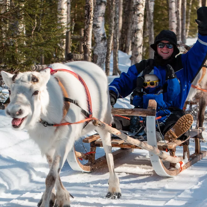 Séjour SEJOUR HOTEL A SUOMU à Rovaniemi, Finlande