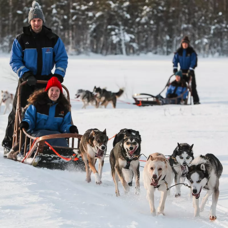 Image 21 du séjour Séjours Activités à la carte Hotel à Suomu à Rovaniemi, Finlande