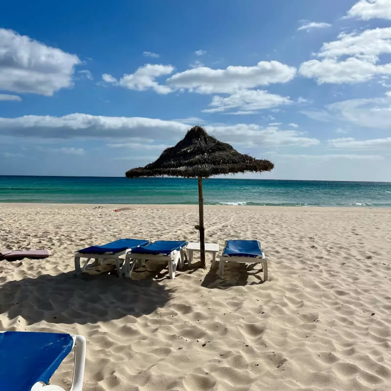 Image 26 du séjour Mondi Club Africa Jade Thalasso 4* sup Long séjour à Nabeul, Tunisie