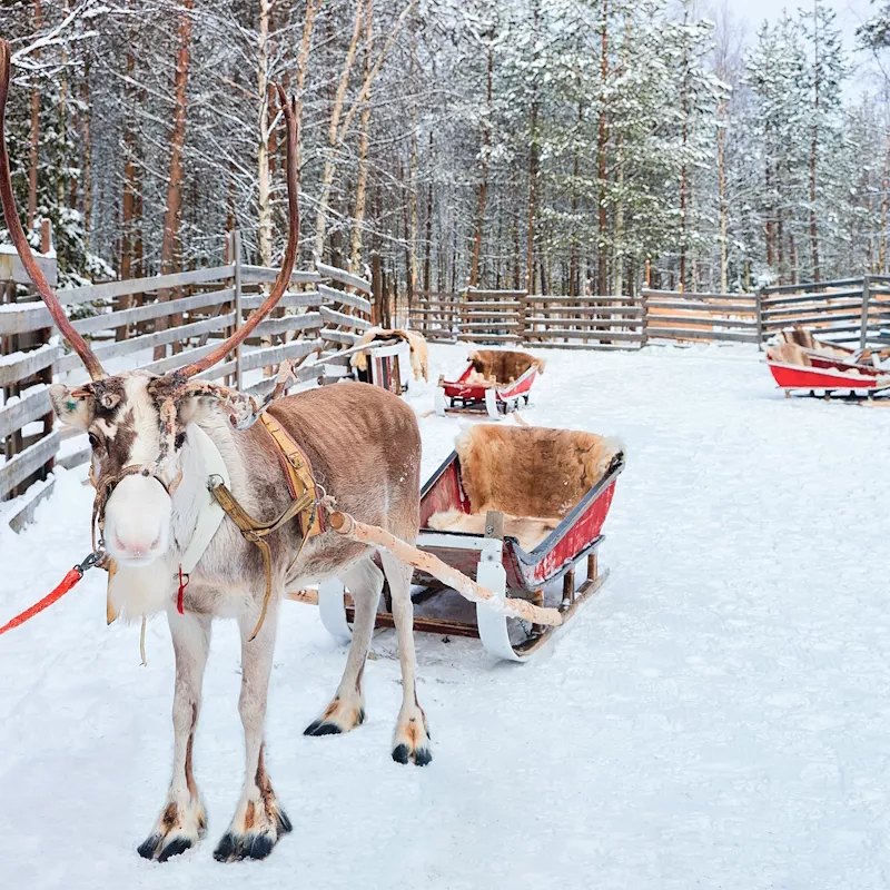 Image 3 du séjour Séjour Activités "Aventures en Laponie" Hôtel Grand Arctic Resort à Rovaniemi, Finlande