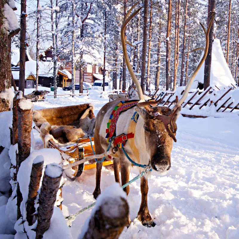 Image 2 du séjour Séjour Activités "Merveilleuse Laponie" Matarengi Lodge à Rovaniemi, Finlande