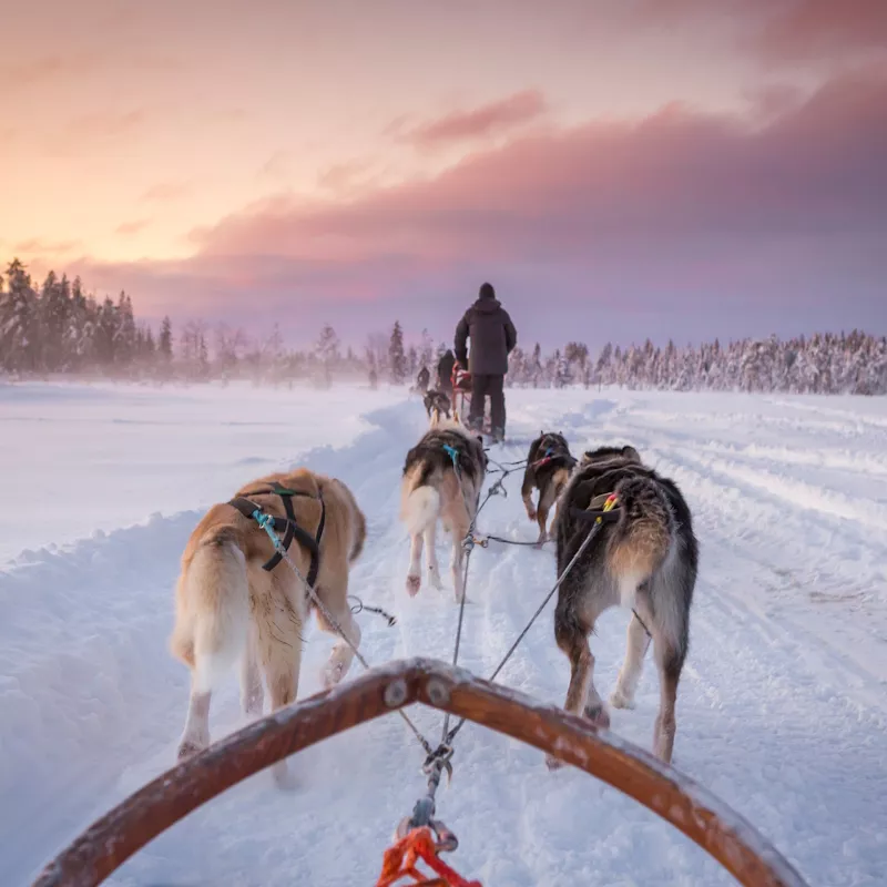 Image 4 du séjour Séjour Activités "Merveilleuse Laponie" Matarengi Lodge à Rovaniemi, Finlande