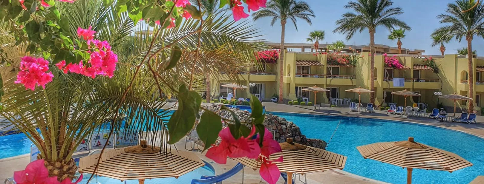 Image 2 du séjour Palm Beach Resort 4* Hurghada à , Hurghada