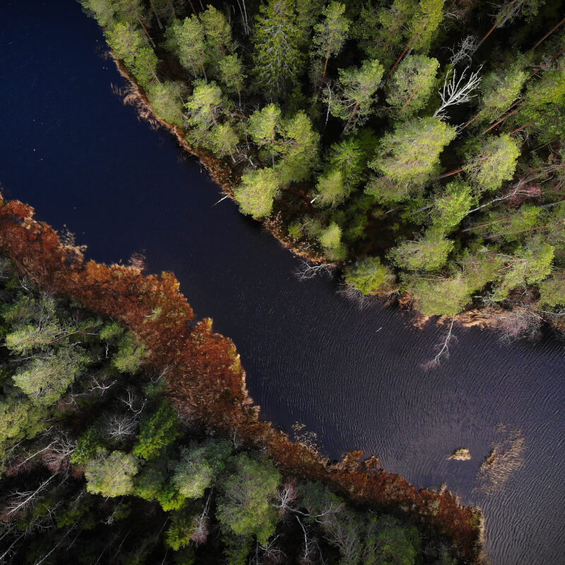 Image 4 du séjour Vivez l'été au coeur de la¿Laponie à¿Savukoski - Hôtel Sampe.. à Savukoski , Finlande