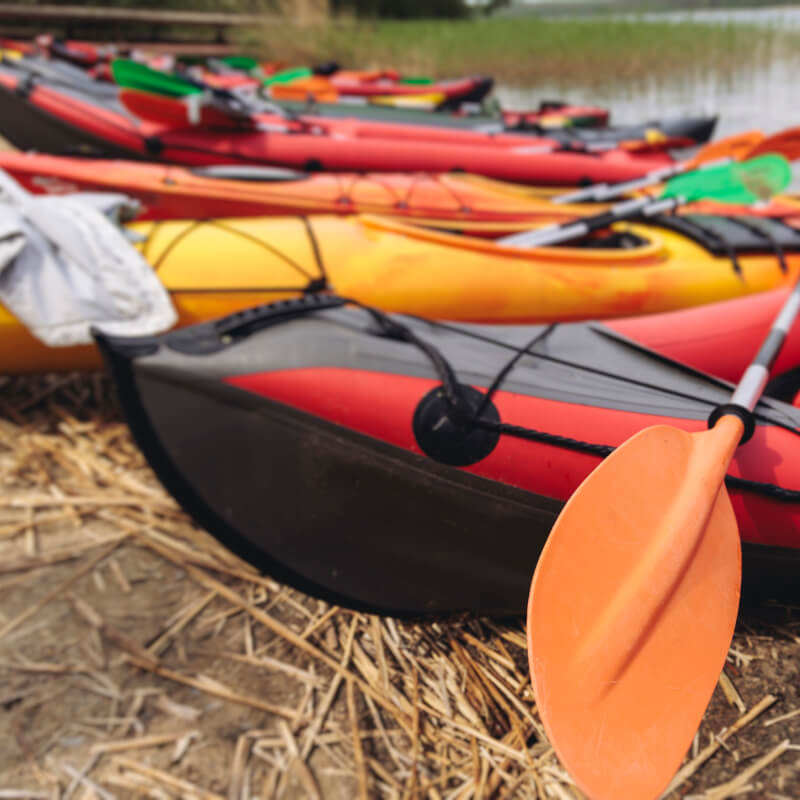 Image 6 du séjour Vivez l'été au coeur de la¿Laponie à¿Savukoski - Hôtel Sampe.. à Savukoski , Finlande