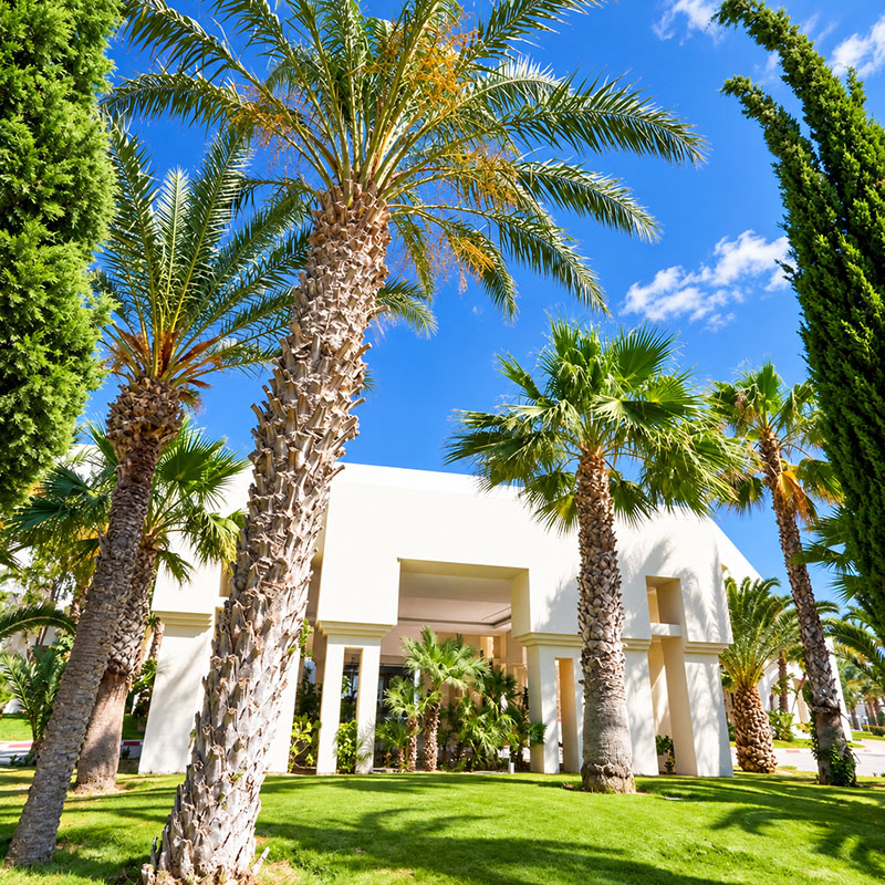 Image 15 du séjour Mondi Club Nozha Beach Resort & Spa 4* SUP à Hammamet, Tunisie