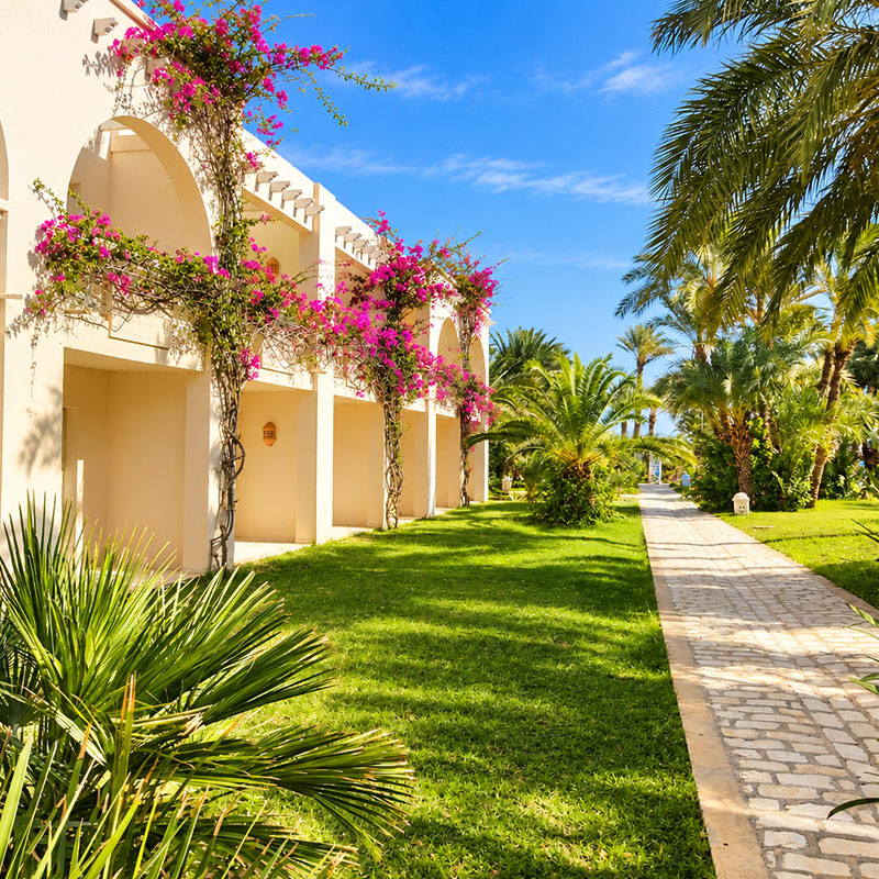 Image 12 du séjour Mondi Club Zita Beach Resort 4* Zarzis à Djerba, Tunisie