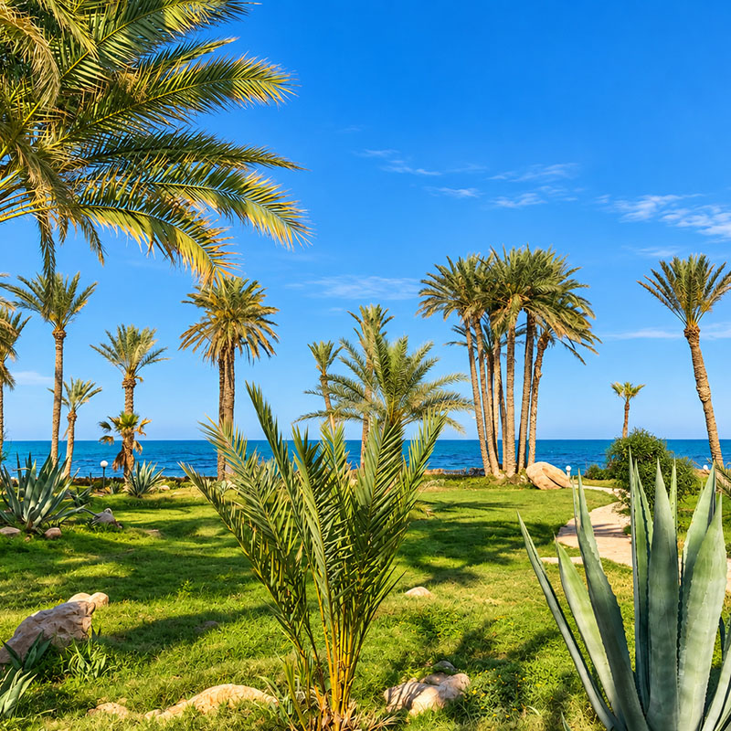 Image 8 du séjour Mondi Club Zita Beach Resort 4* Zarzis à Djerba, Tunisie