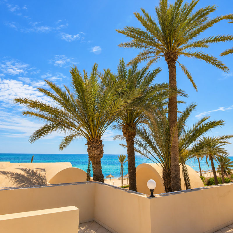 Image 16 du séjour Mondi Club Zita Beach Resort 4* Zarzis à Djerba, Tunisie