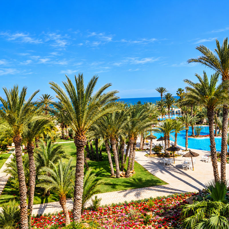 Image 13 du séjour Mondi Club Zita Beach Resort 4* Zarzis à Djerba, Tunisie