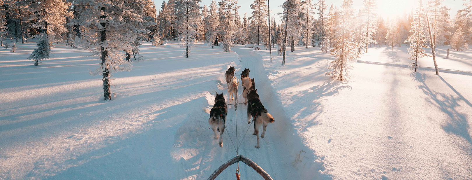 Finlande - Laponie - Savukoski - Séjour Activités 