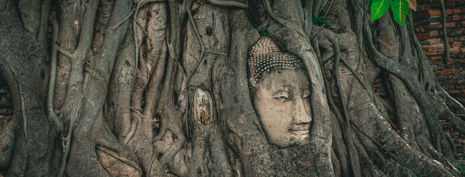 Circuit au coeur de la Thaïlande 4* - 5