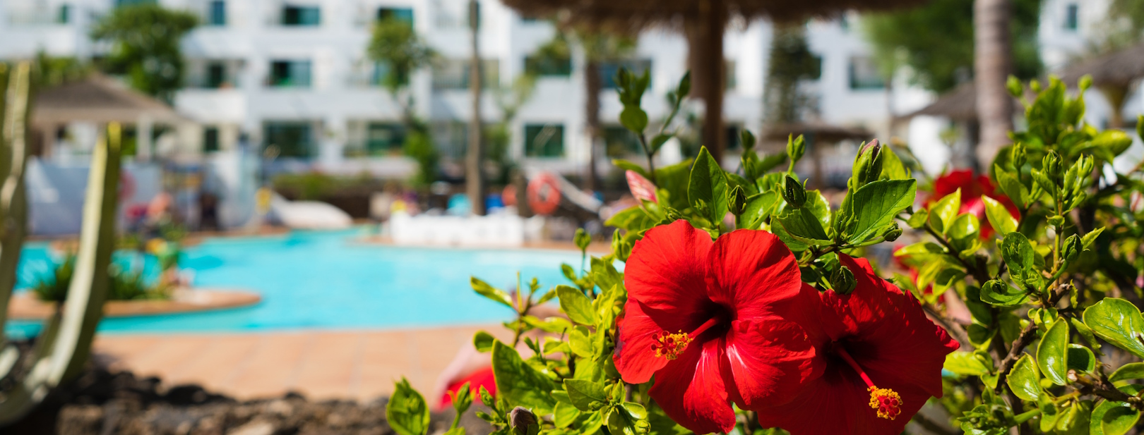 Hôtel Mondi Club Galeon Playa 3*