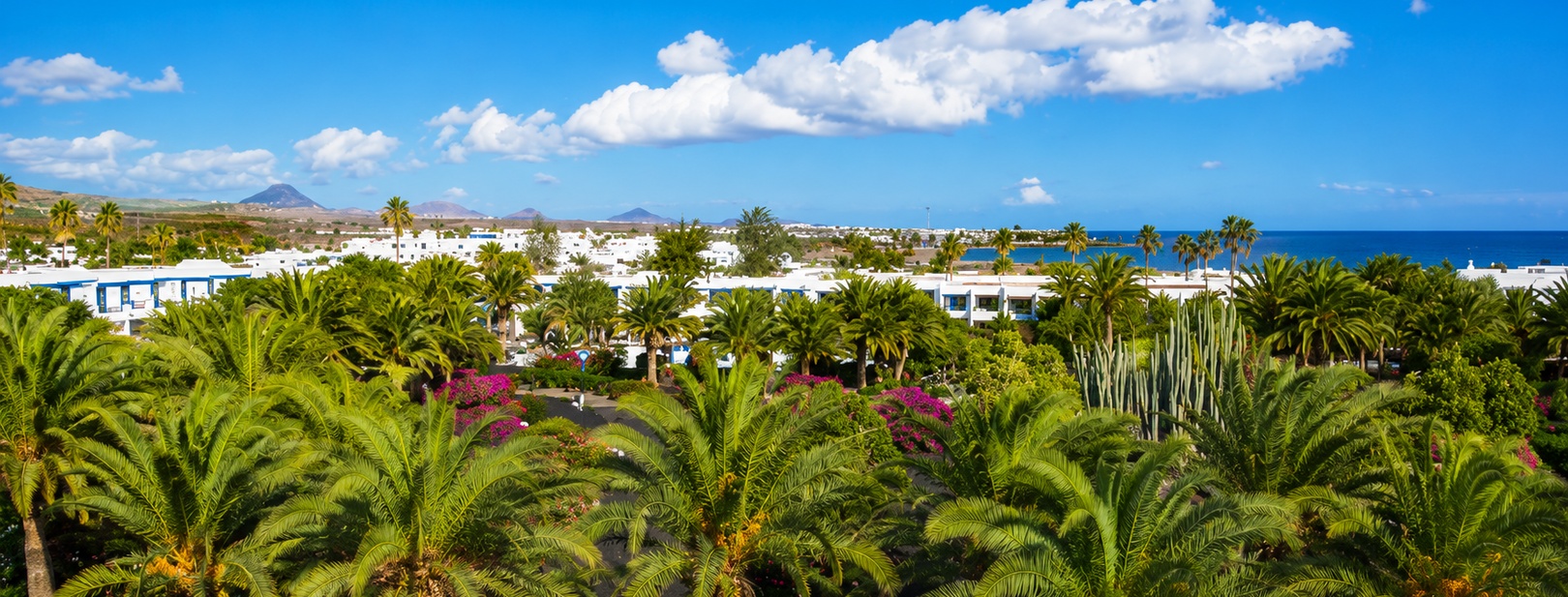 Hôtel Mondi Club Relaxia Olivina 4*