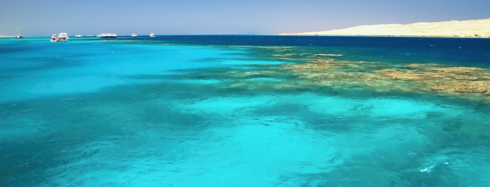 Image 4 du séjour Des Pyramides à la mer Rouge à Le caire, Égypte